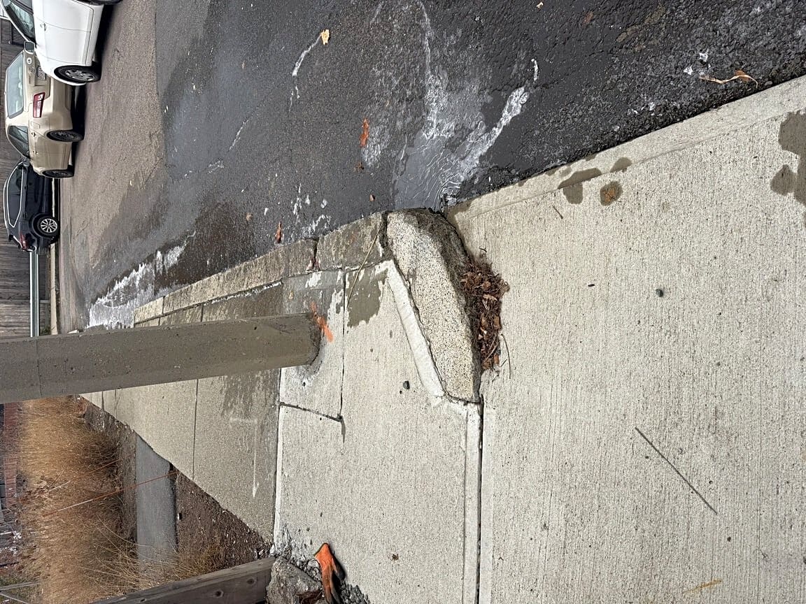 Image submitted with report