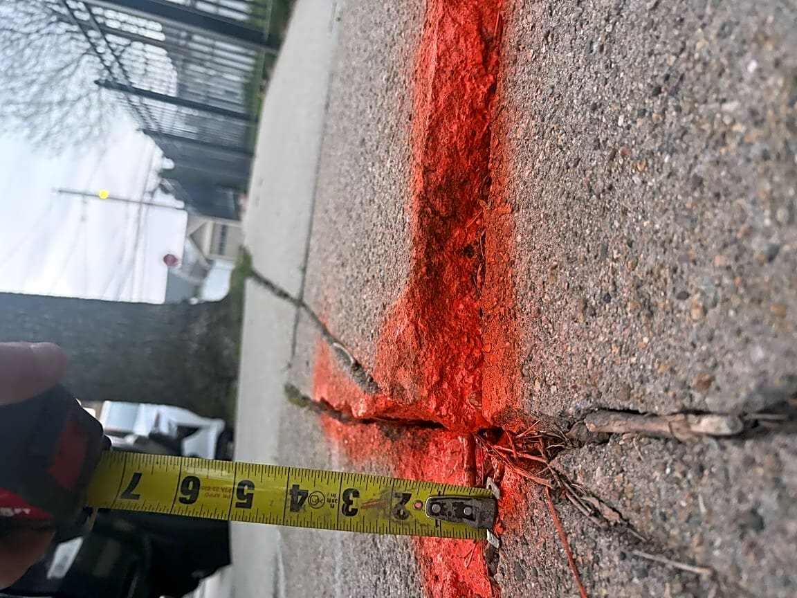 Image submitted with report