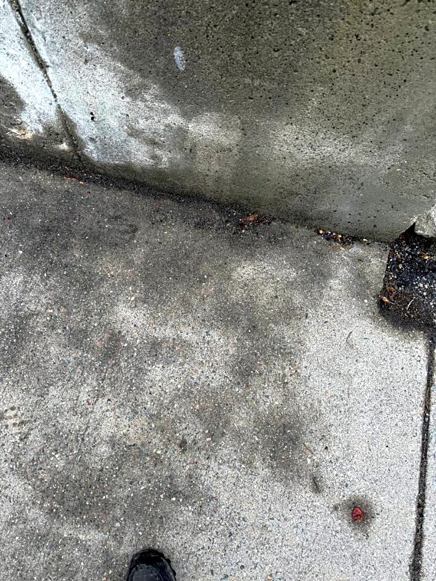 Image submitted with report