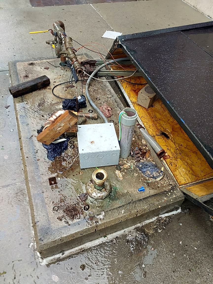 Image submitted with report