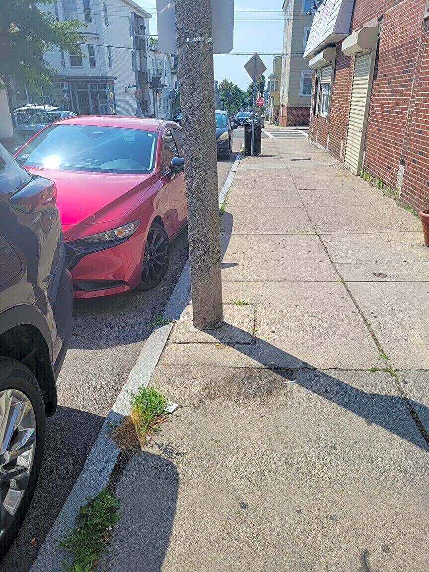 Image submitted with report