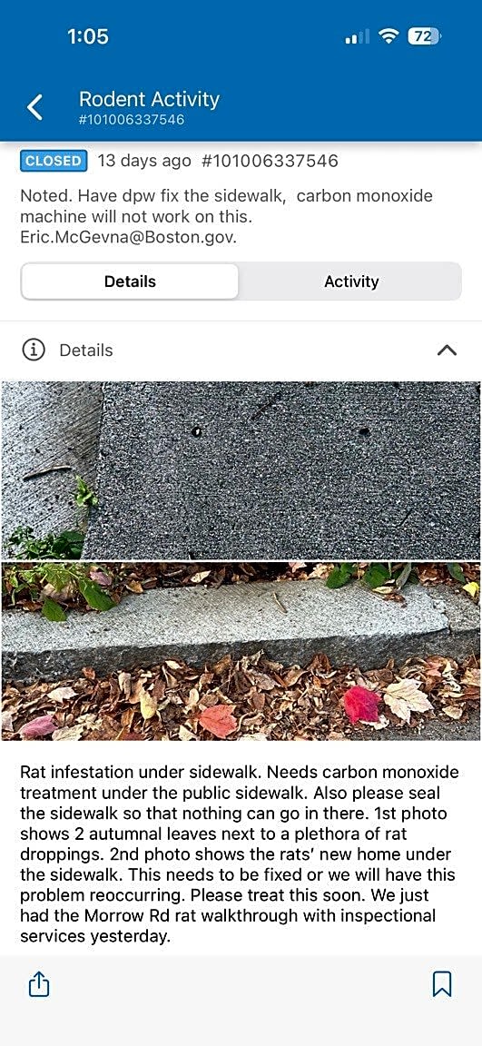 Image submitted with report