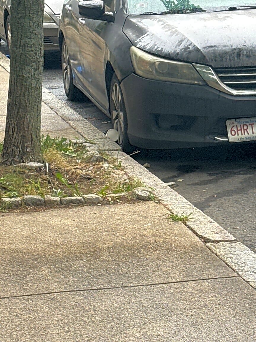 Image submitted with report