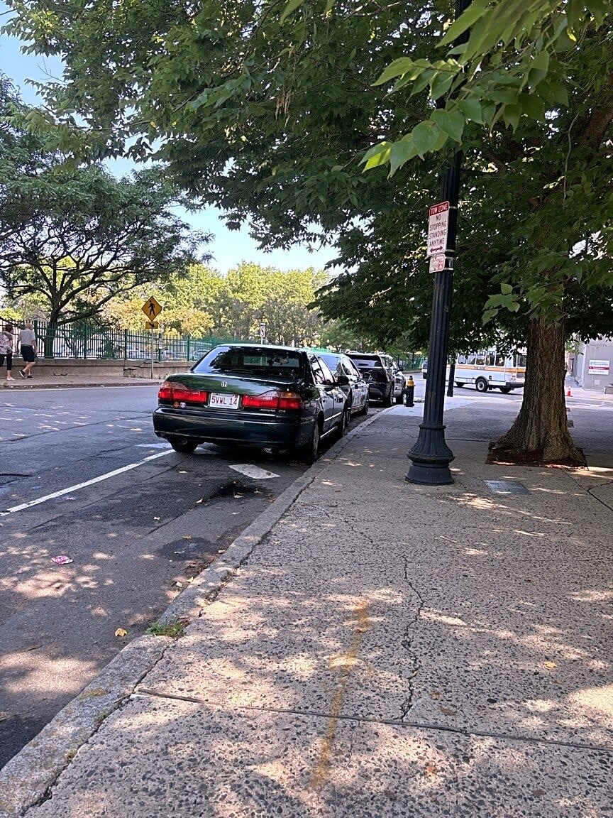 Image submitted with report