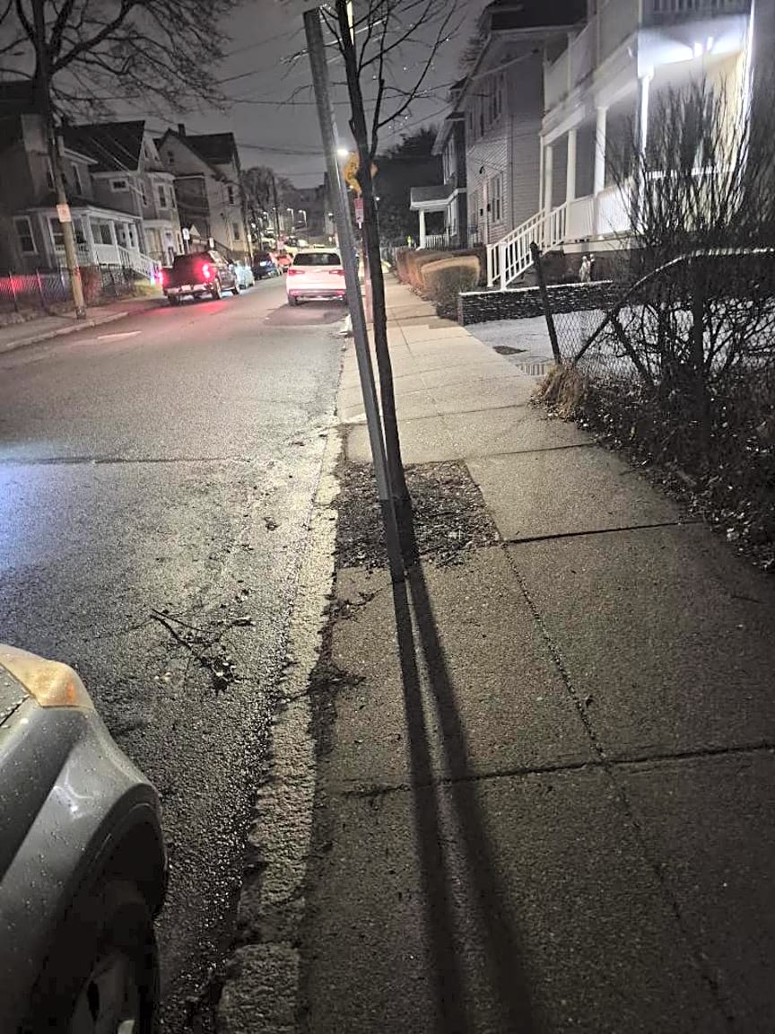 Image submitted with report