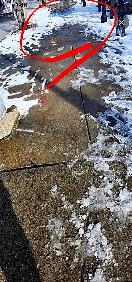 Image submitted with report