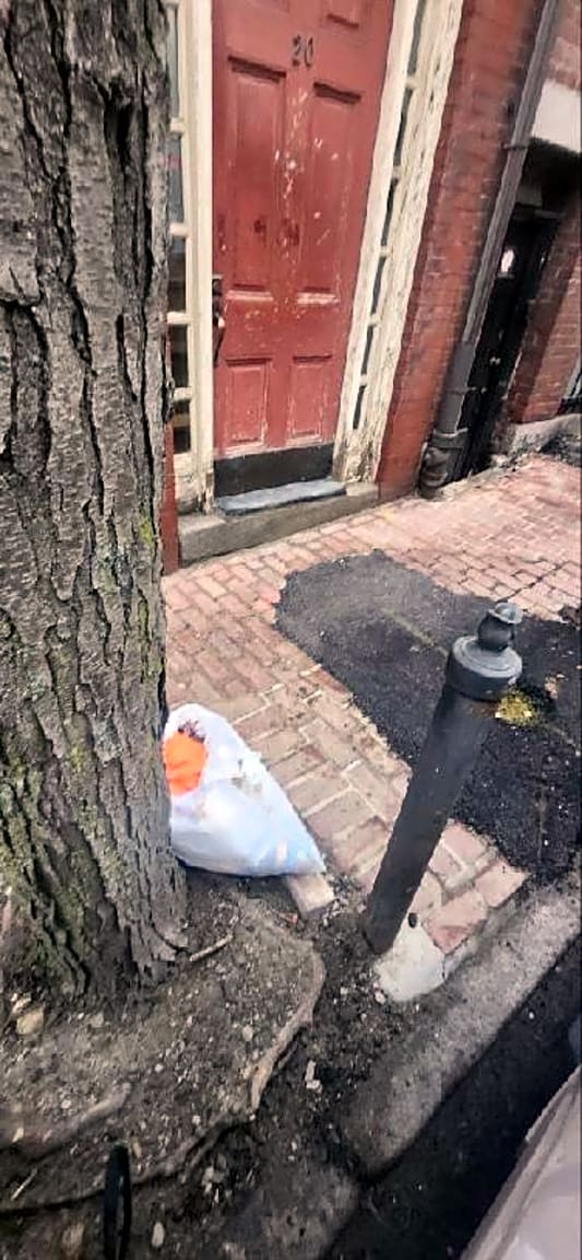 Image submitted with report