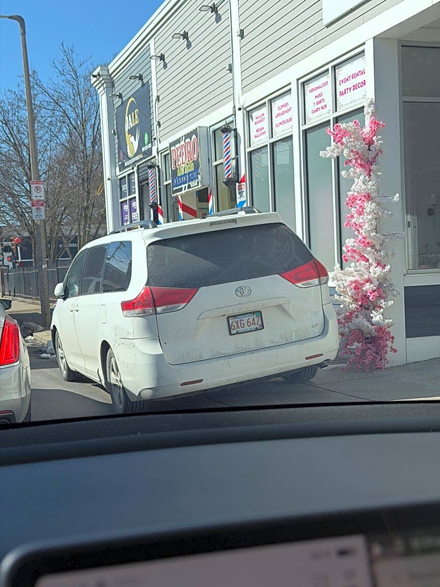 Image submitted with report