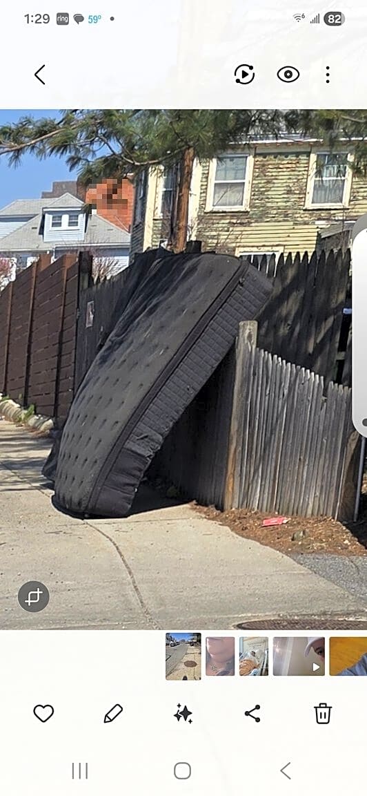 Image submitted with report