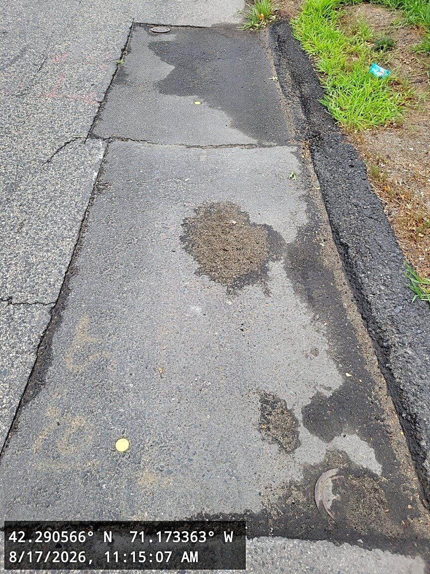 Image submitted with report