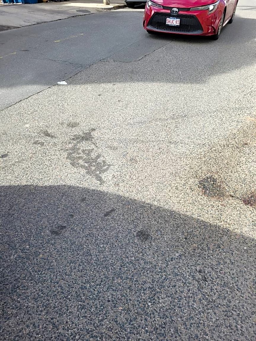 Image submitted with report