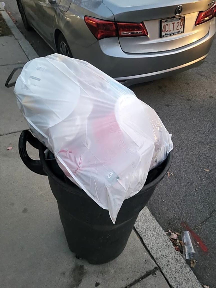 Image submitted with report