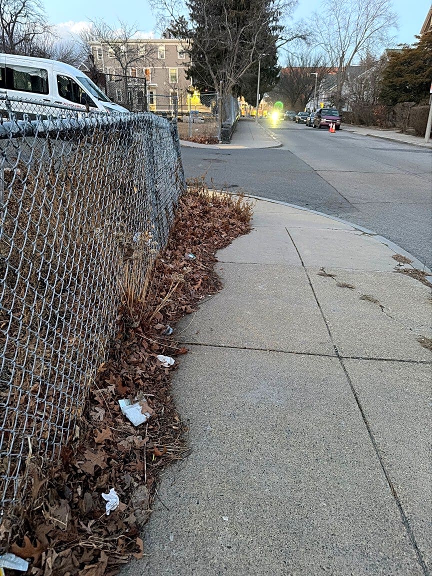 Image submitted with report