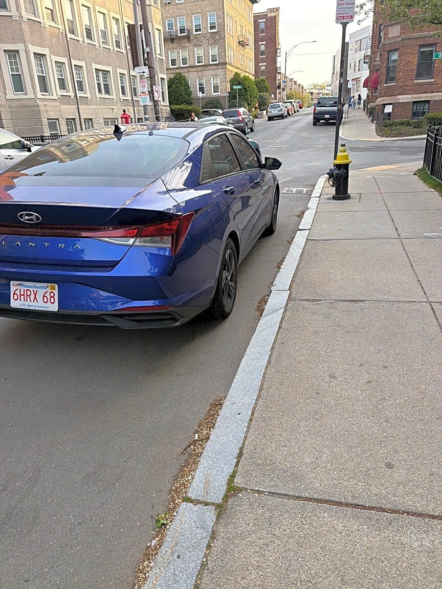 Image submitted with report