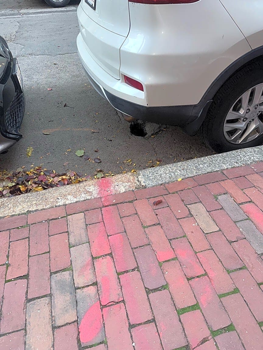 Image submitted with report