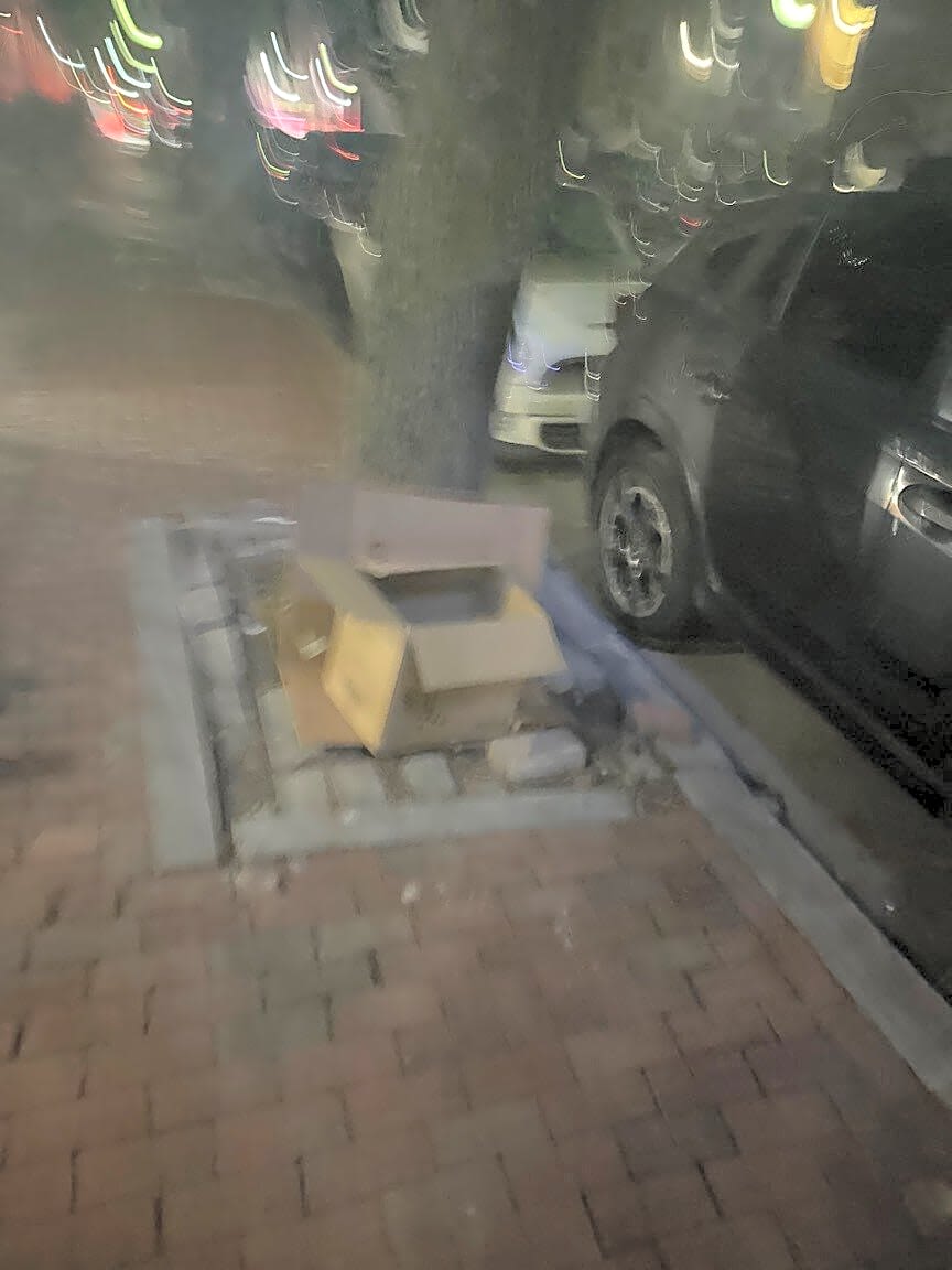 Image submitted with report
