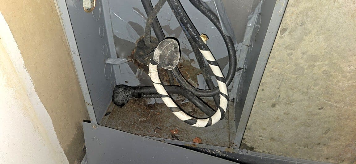 Image submitted with report