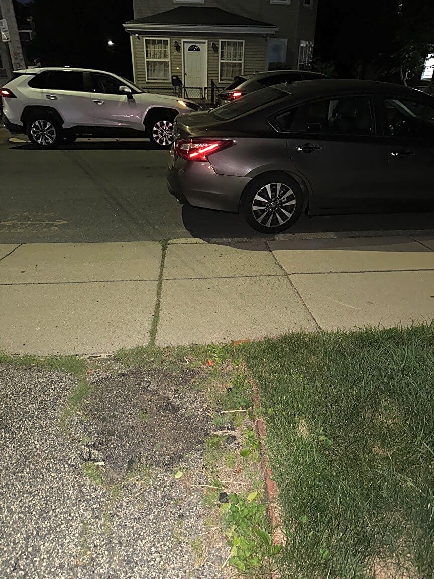 Image submitted with report