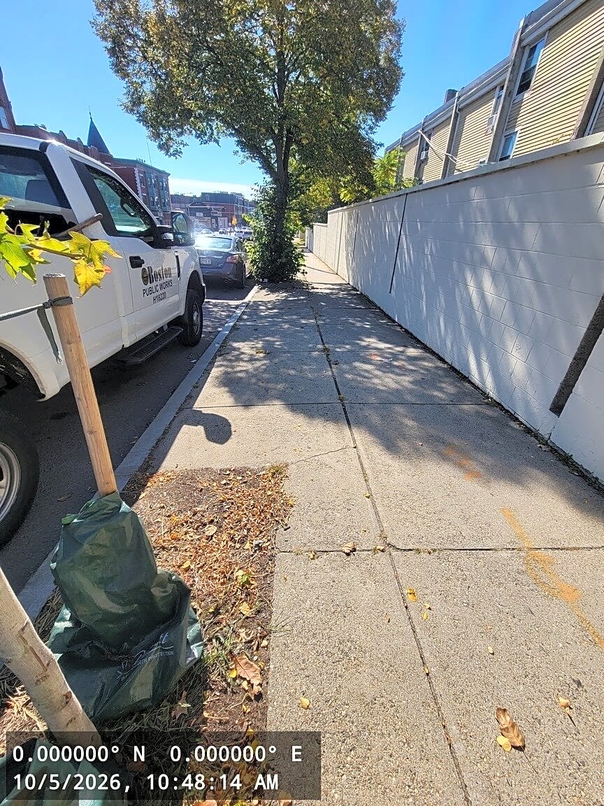 Image submitted with report