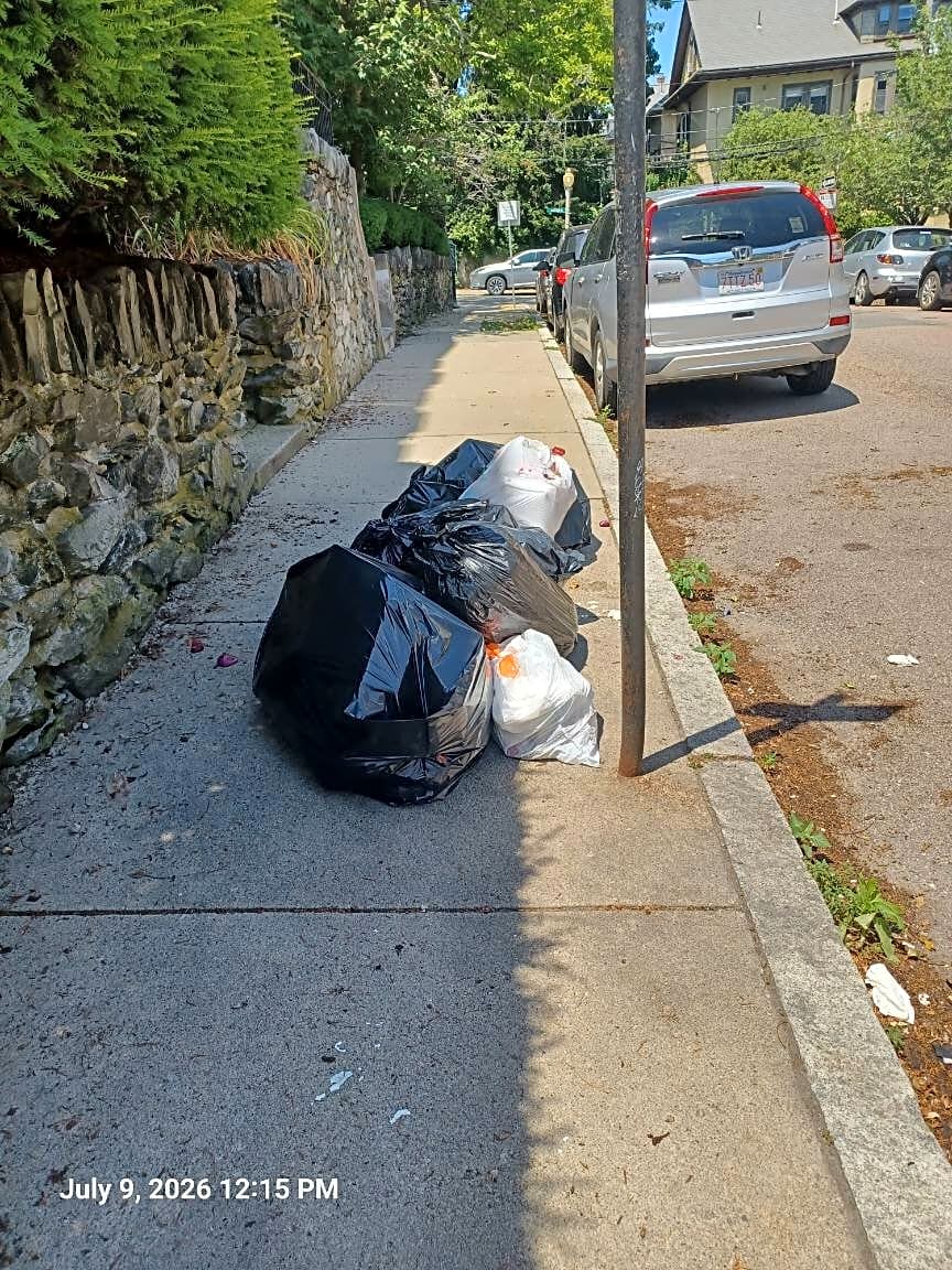 Image submitted with report