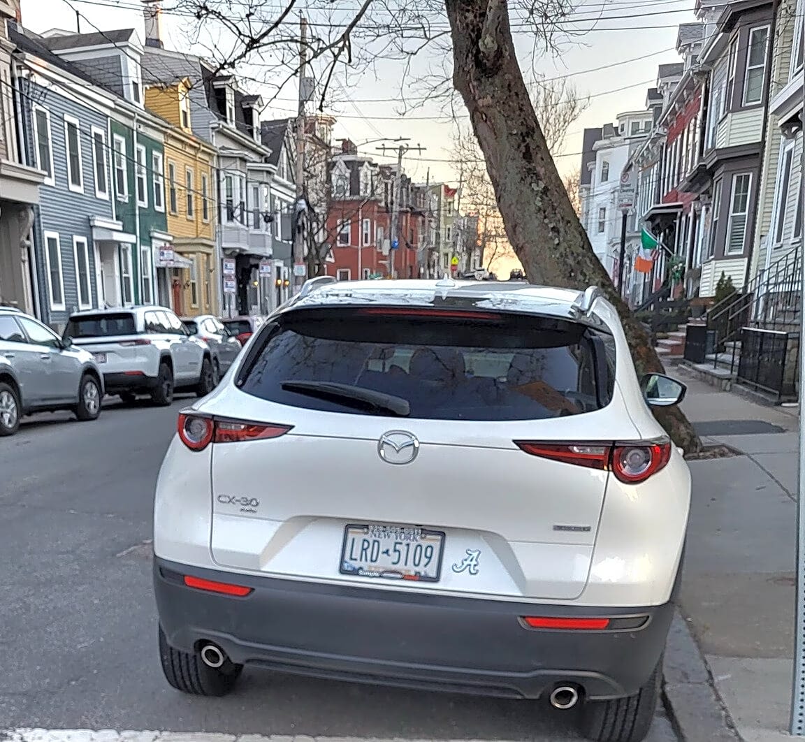 Image submitted with report