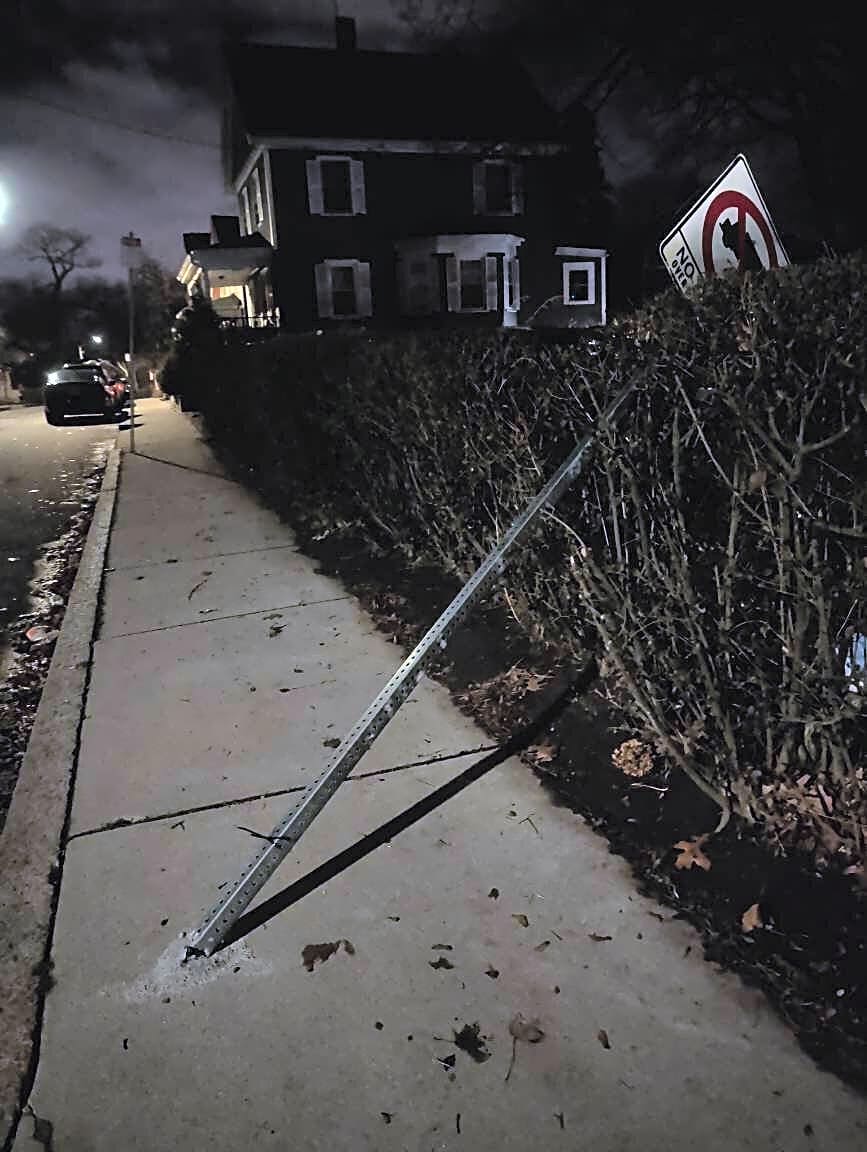 Image submitted with report