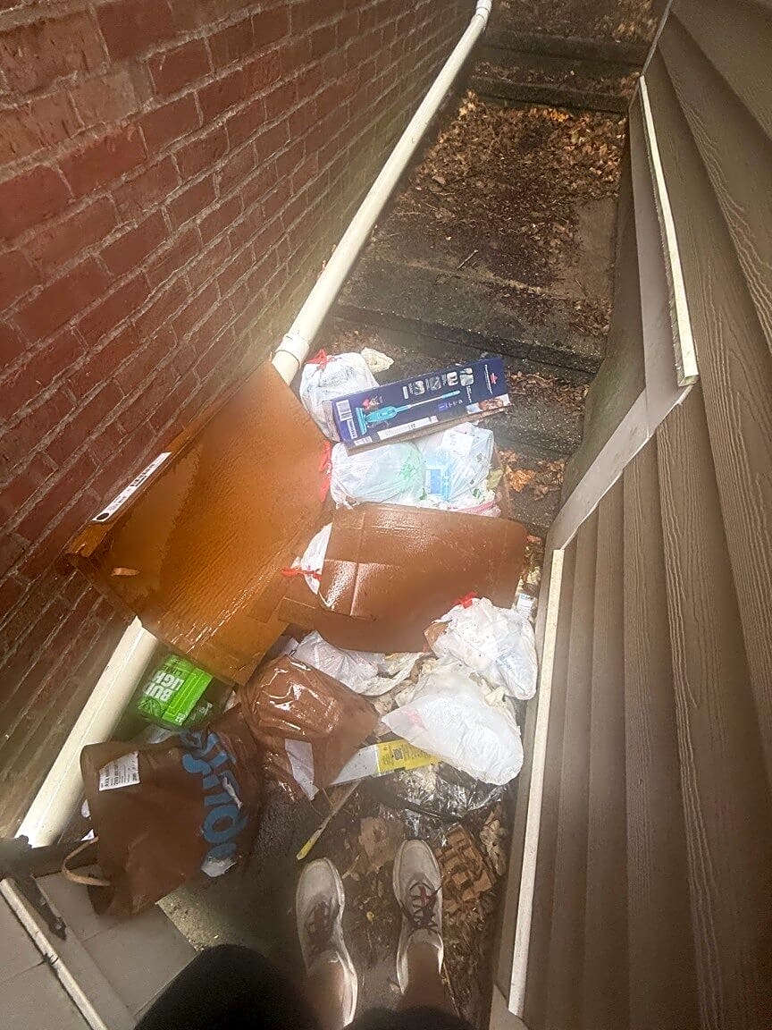 Image submitted with report