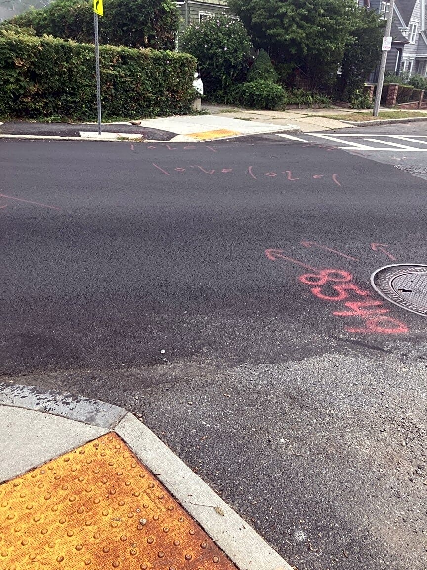 Image submitted with report