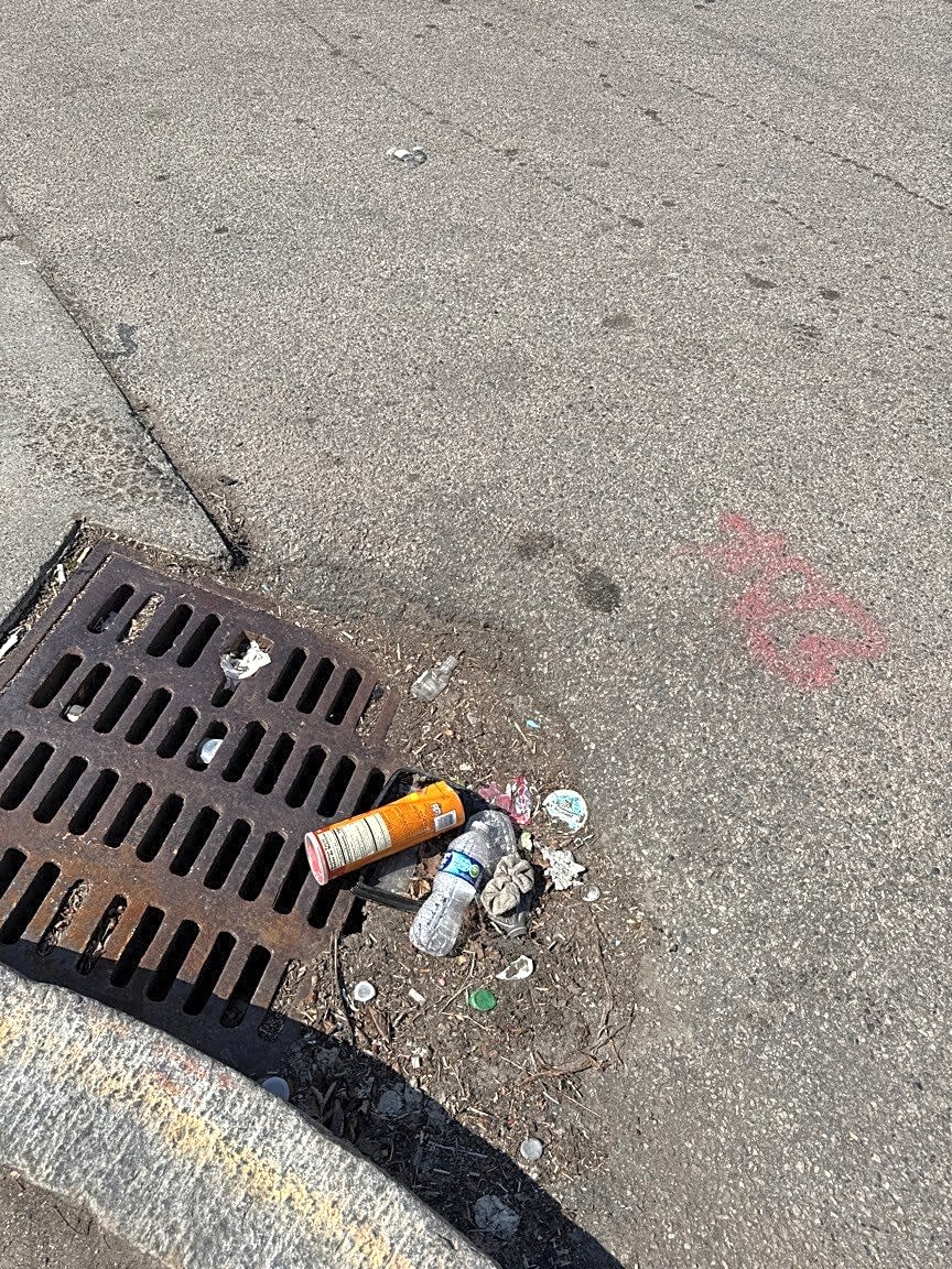 Image submitted with report