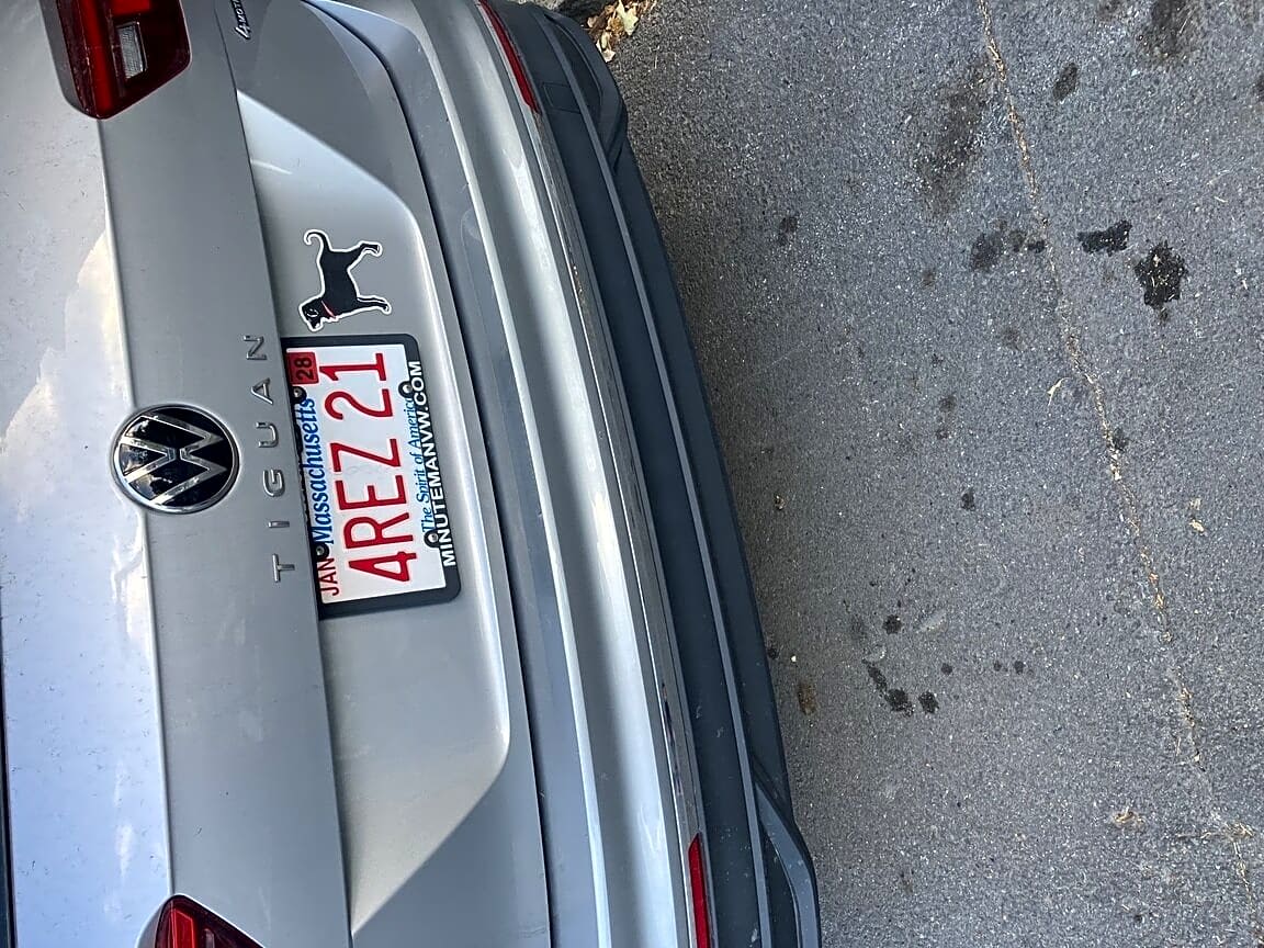 Image submitted with report