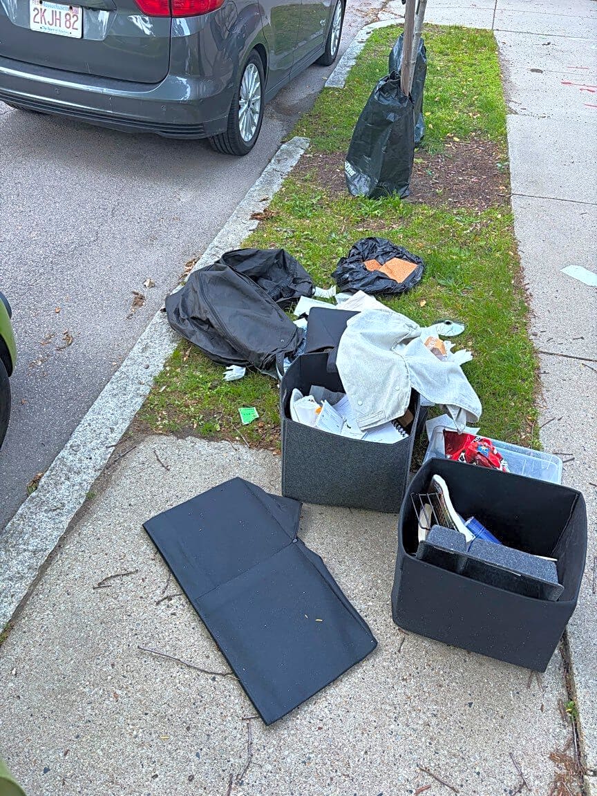 Image submitted with report