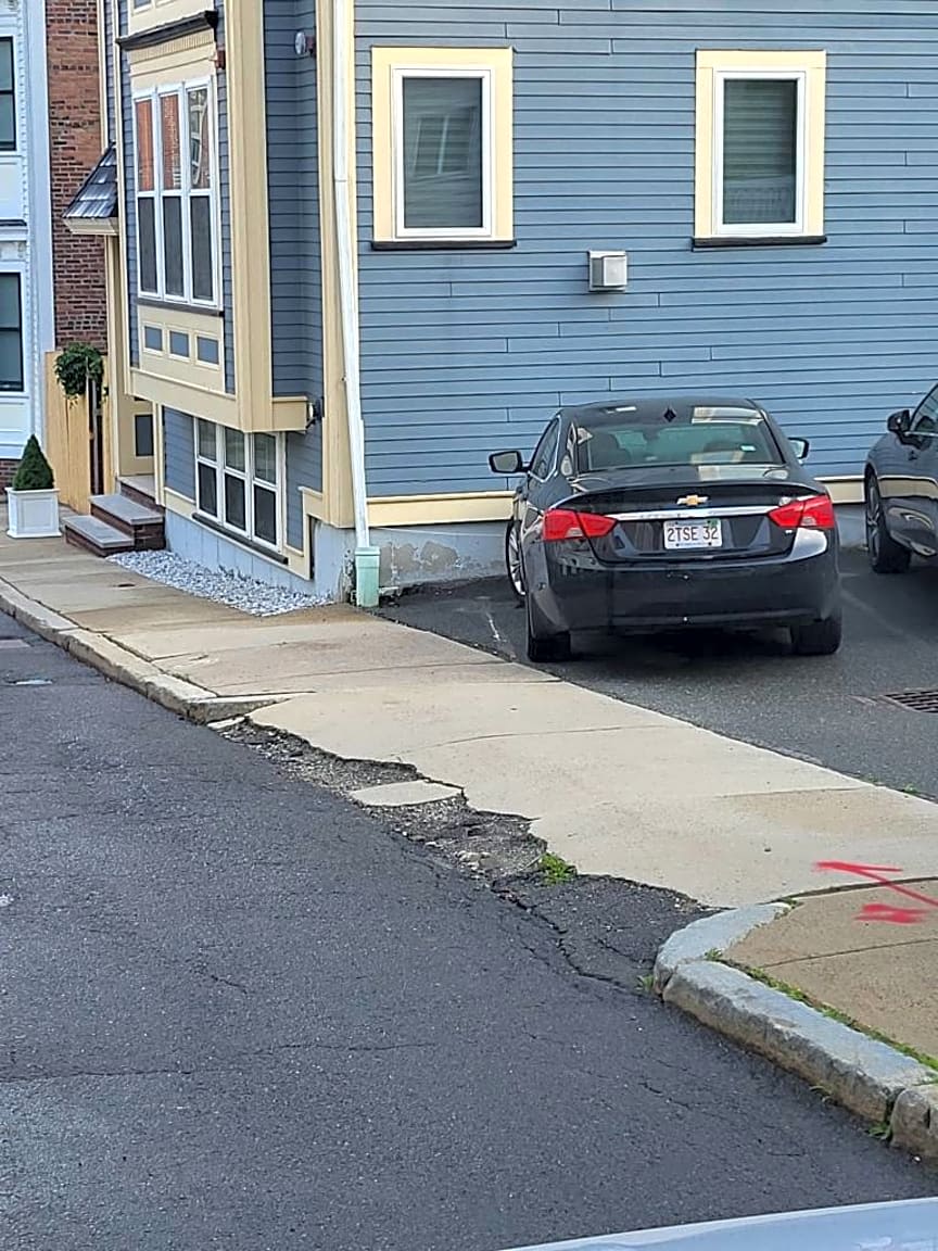 Image submitted with report