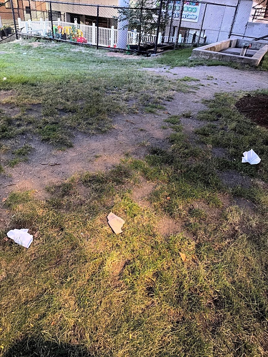 Image submitted with report
