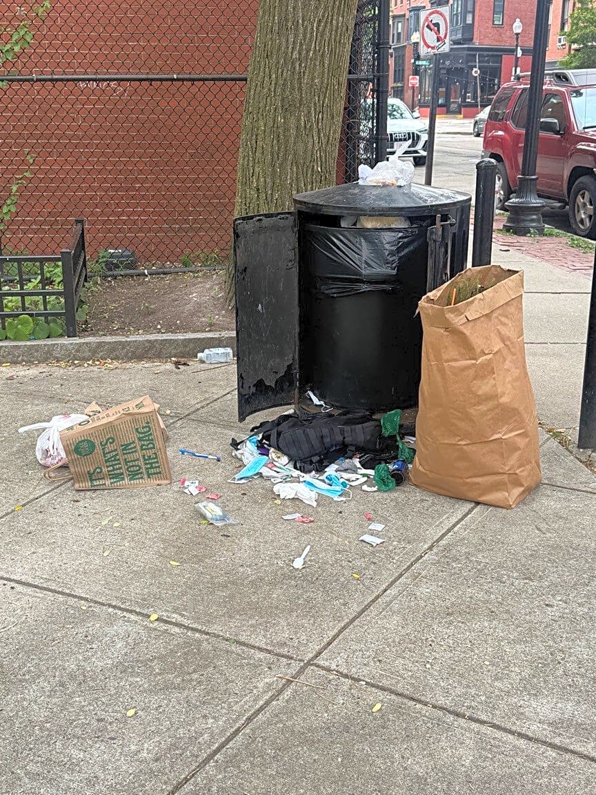 Image submitted with report