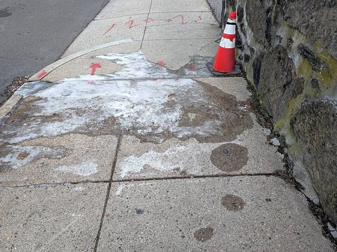 Image submitted with report