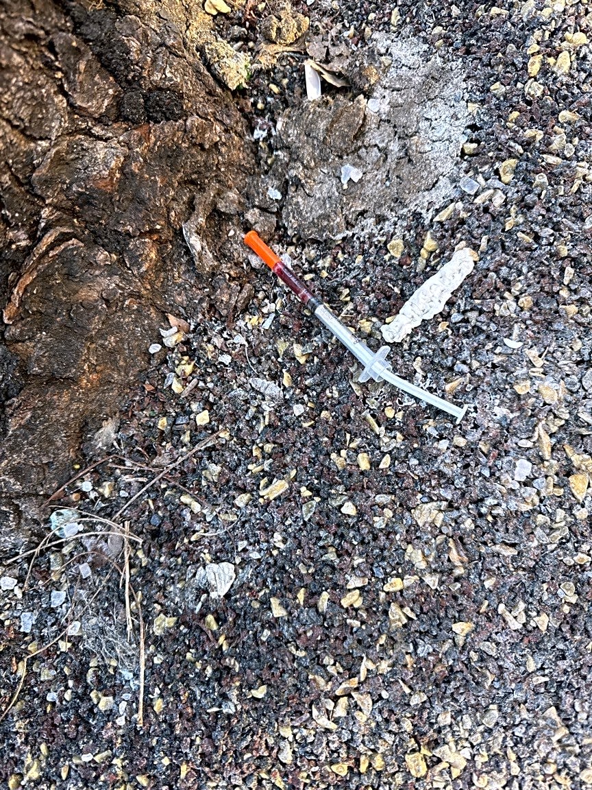 Image submitted with report