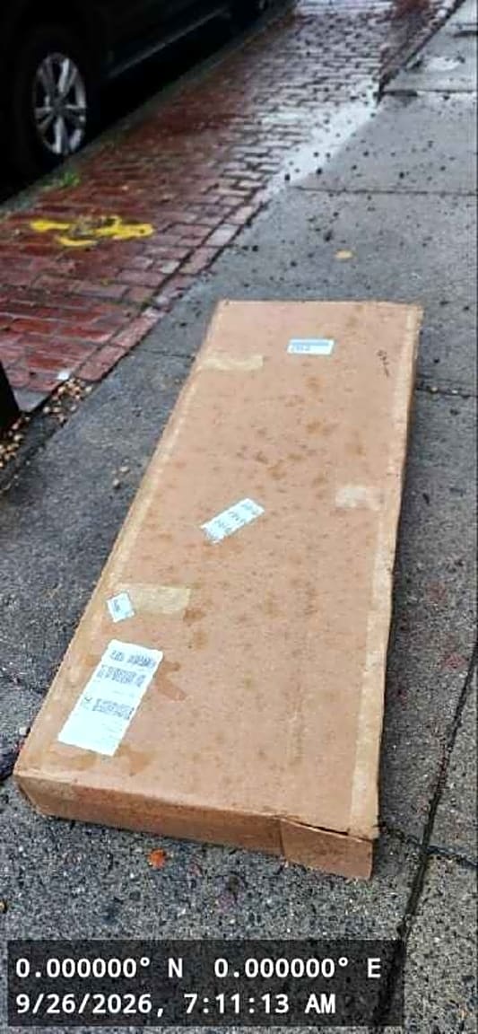 Image submitted with report