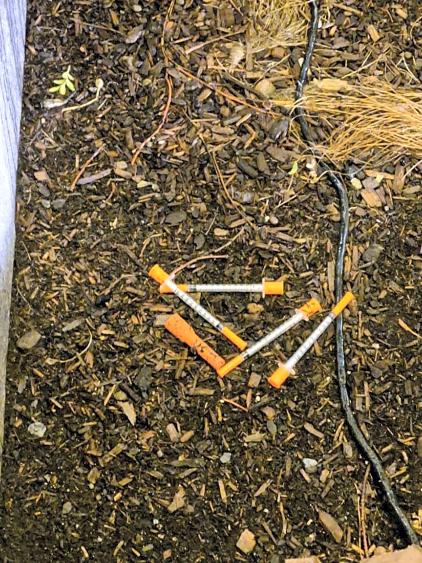 Image submitted with report