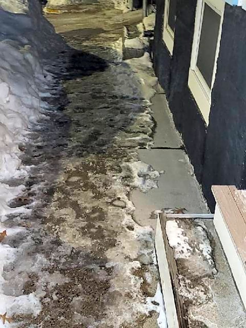 Image submitted with report