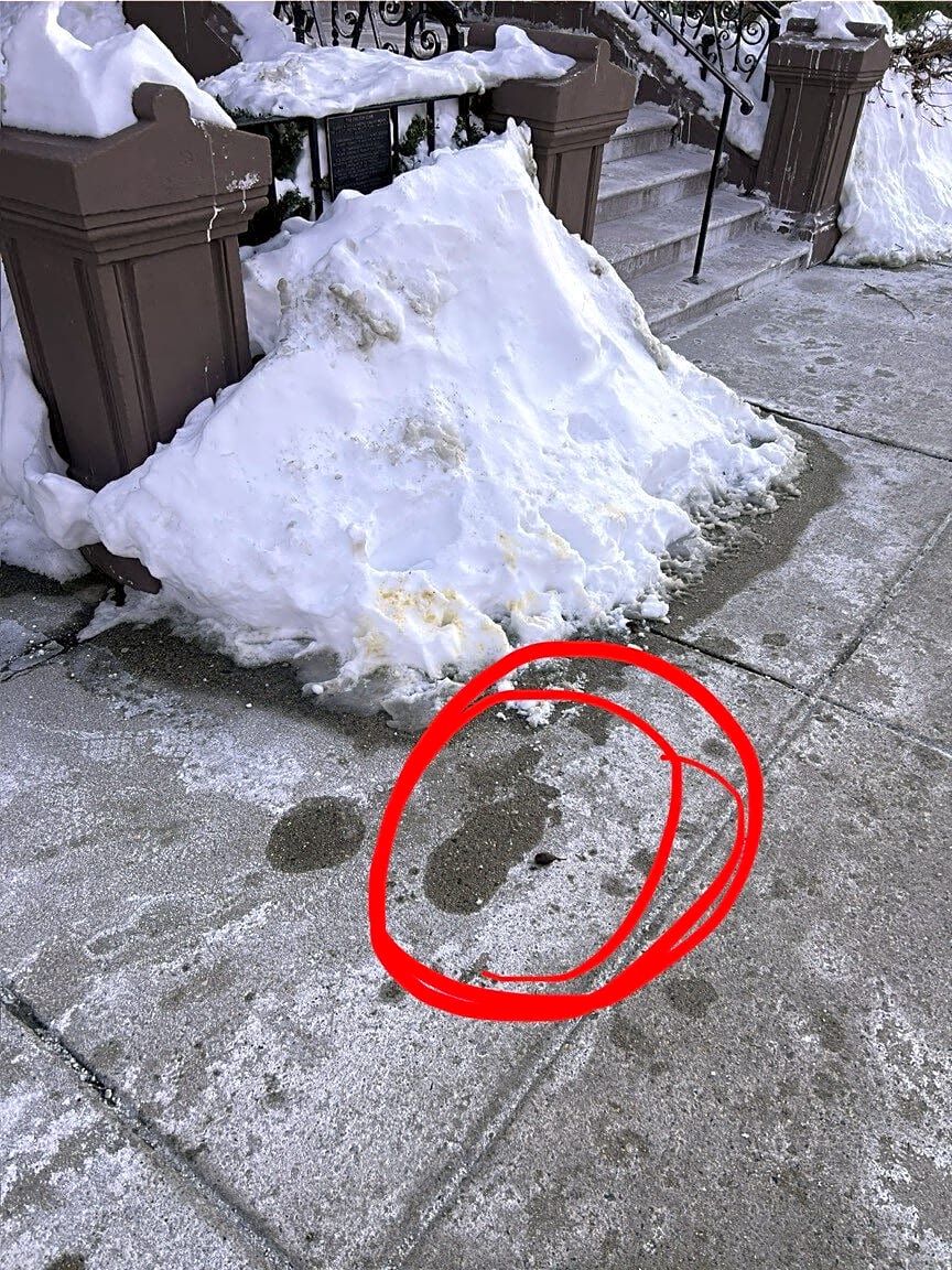 Image submitted with report