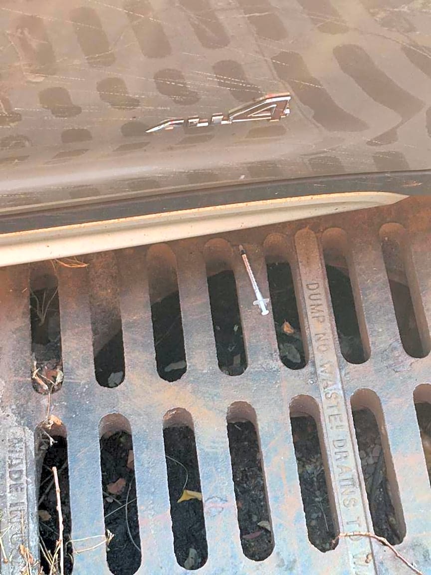Image submitted with report
