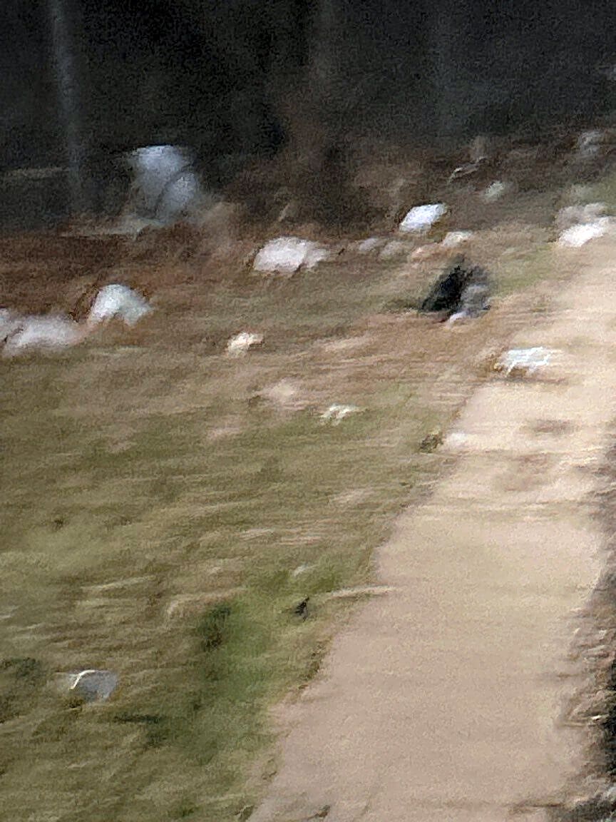 Image submitted with report