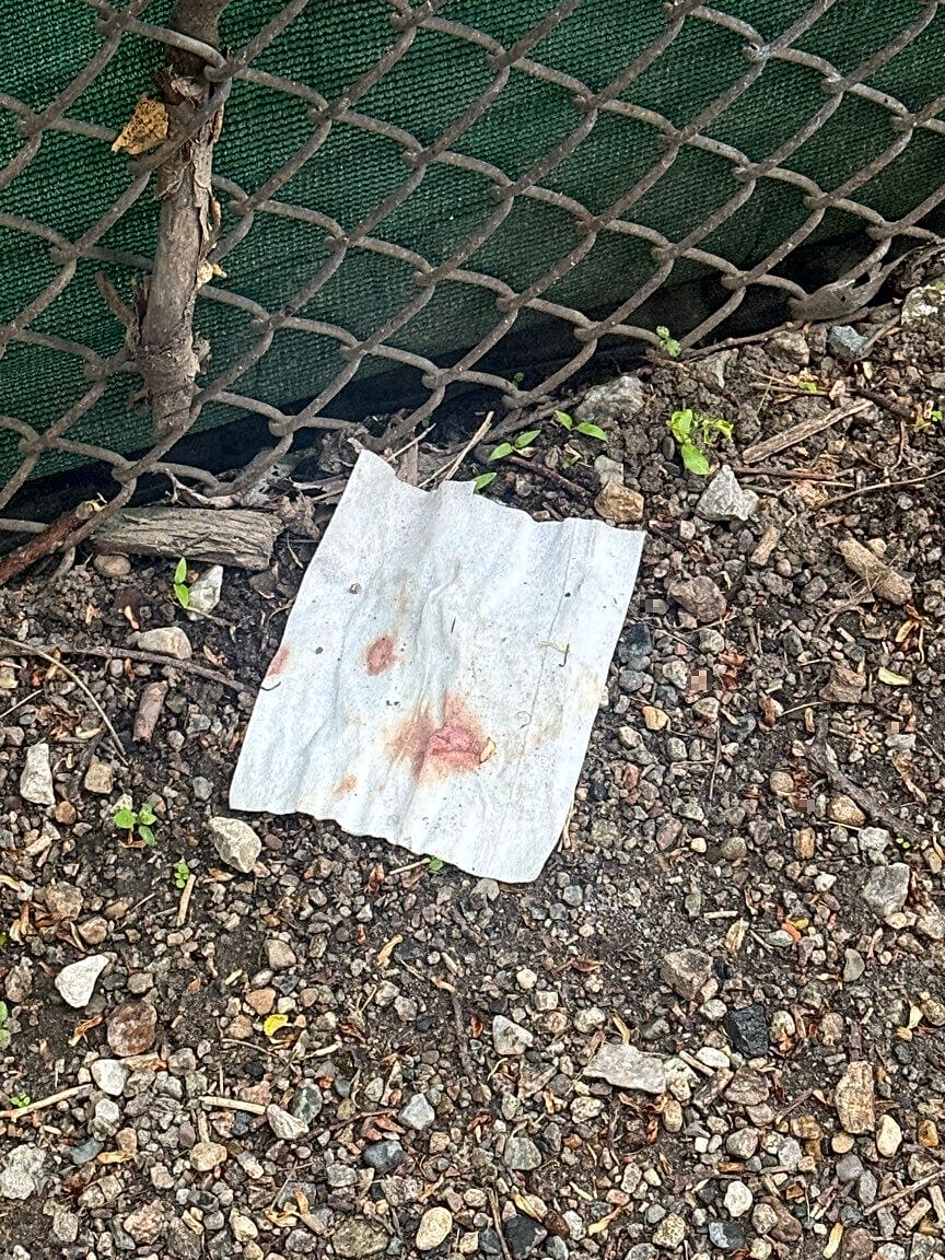 Image submitted with report