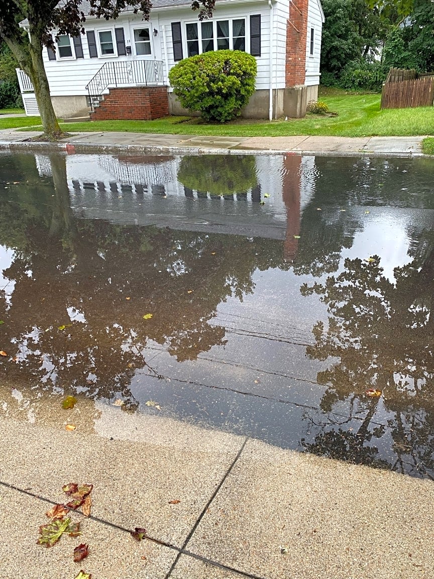 Image submitted with report