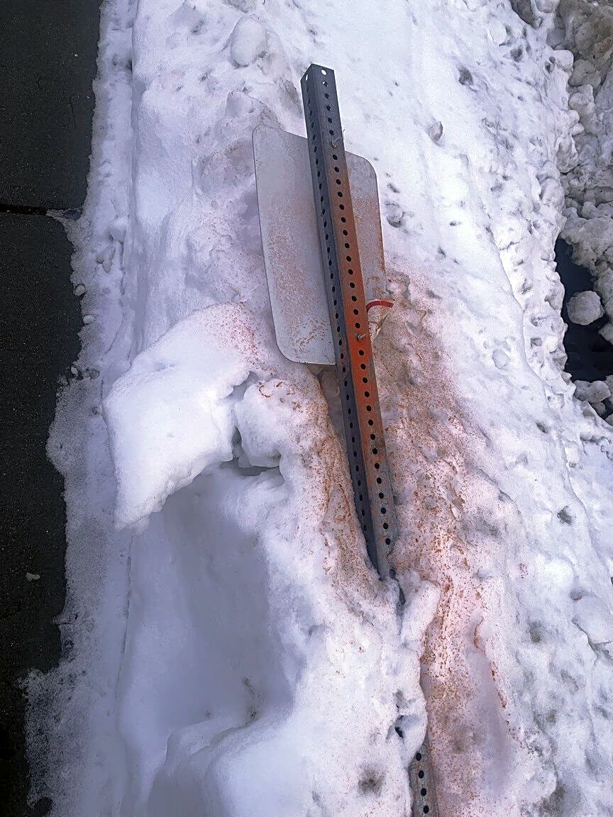 Image submitted with report