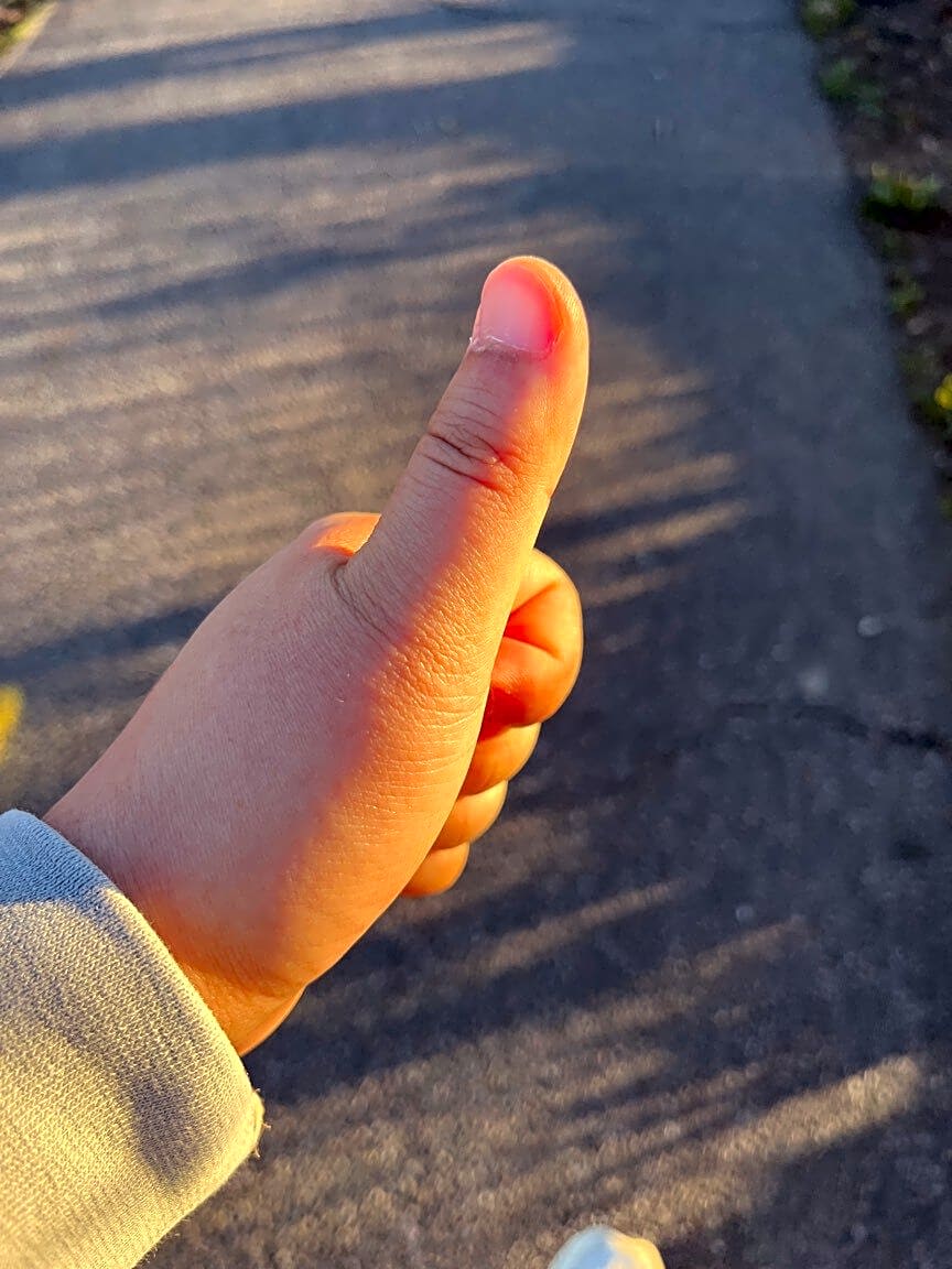 Image submitted with report