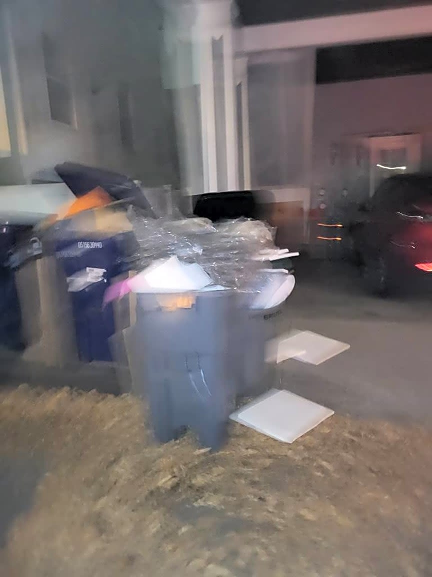 Image submitted with report