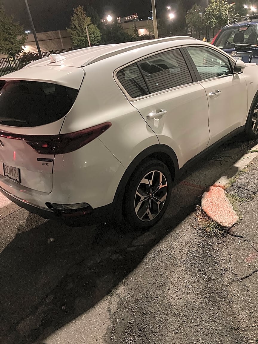 Image submitted with report