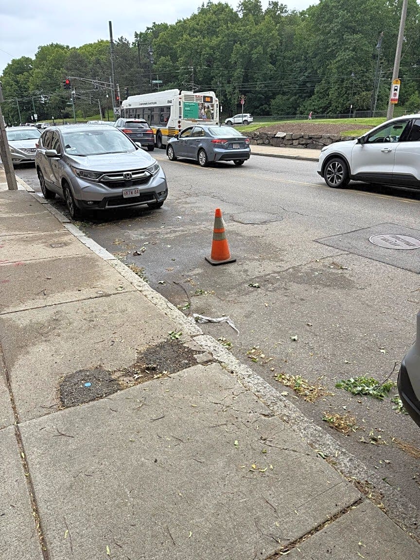 Image submitted with report