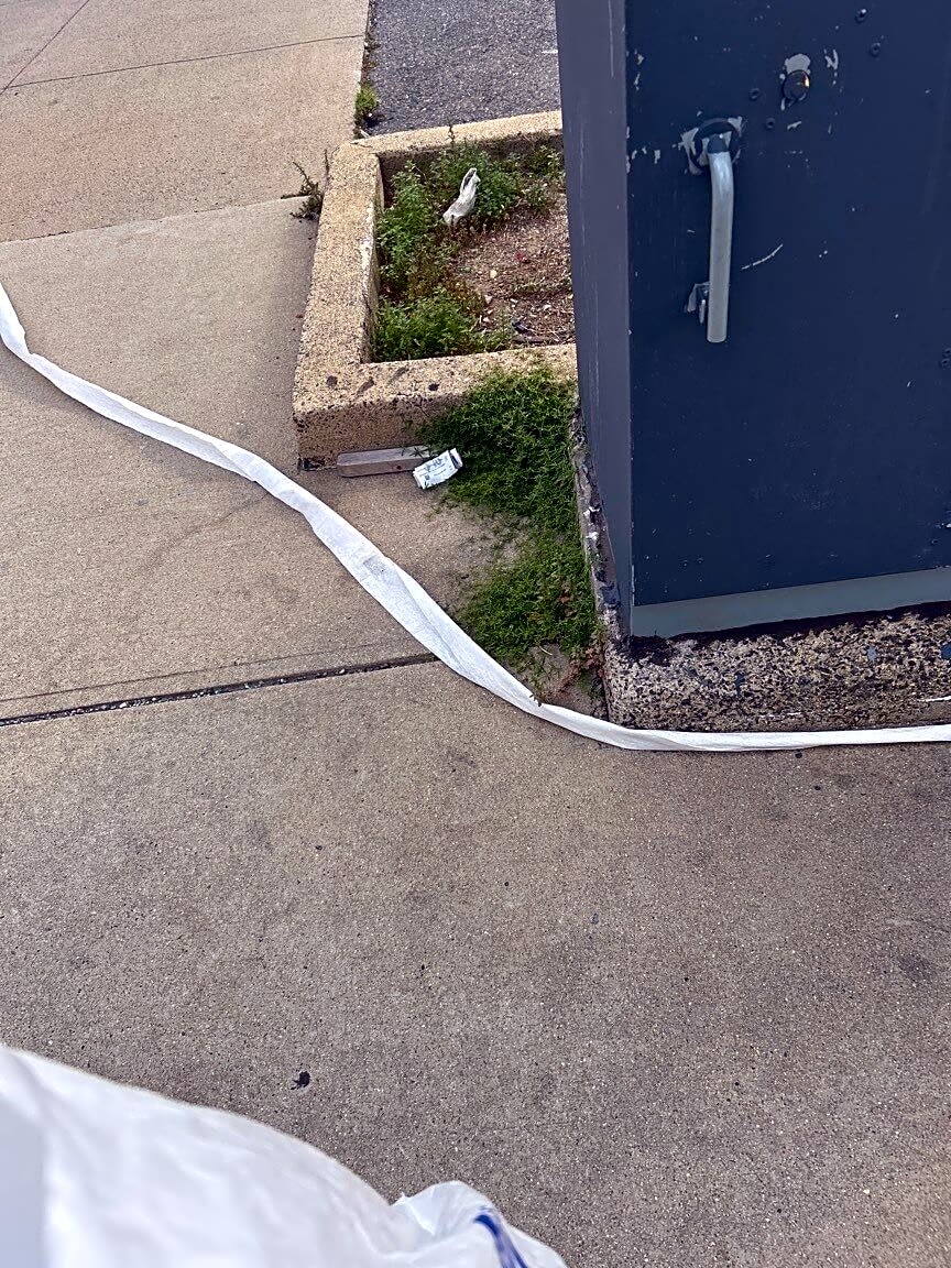 Image submitted with report